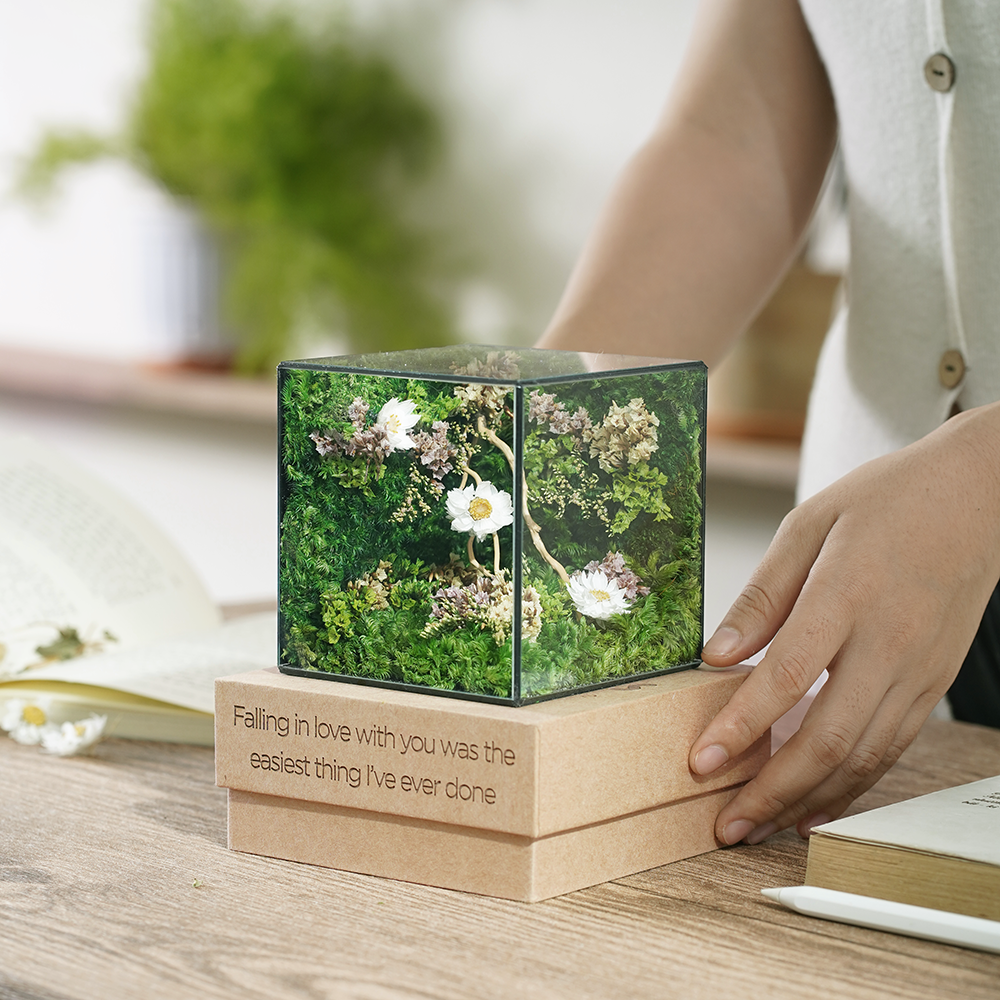 Dream Wishes Cubic 10x10 – Mini Moss Terrarium with Delicate Flowers, A Thoughtful Gift for Mother's Day