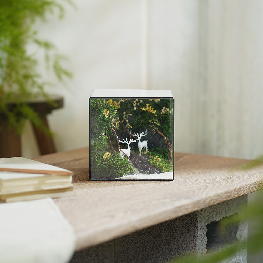 Dream of Forest Cubic 15: Moss in Terrarium – The Perfect Housewarming Gift Bringing Nature Home