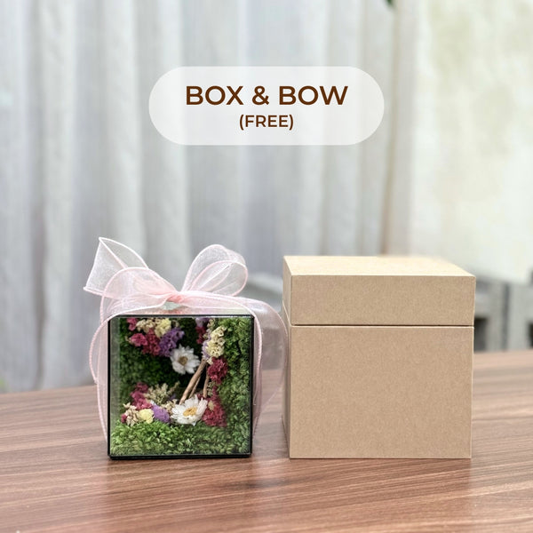 #DreamWishesMiniCube