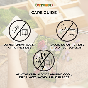 #GoldenBloomDance25