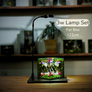 #RoselightMediumCube